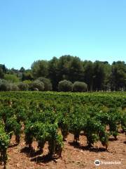 Domaine de Terrebrune