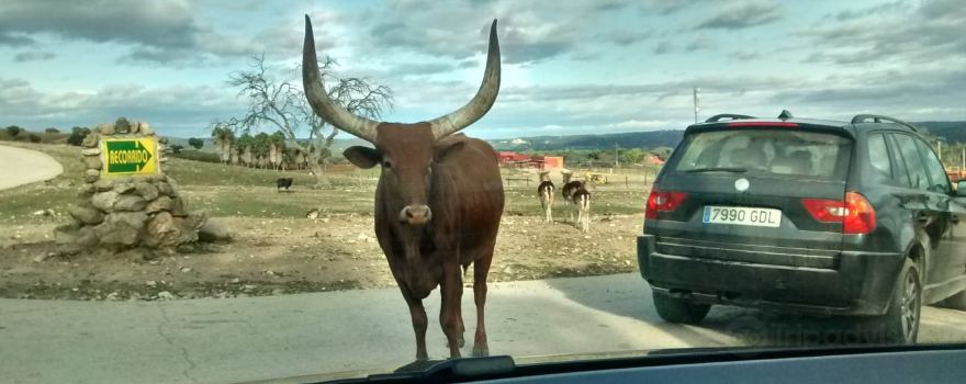 Aldea del Fresno
