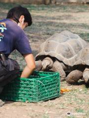 La Vallée des Tortues