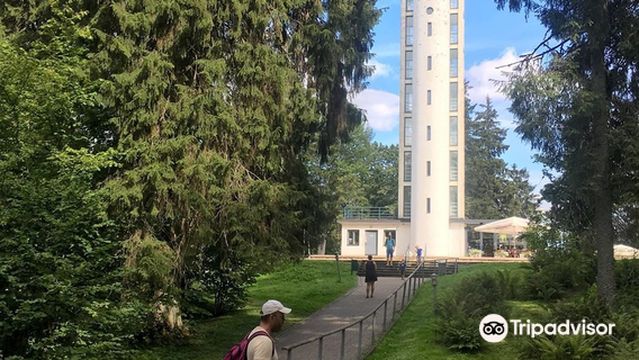 Suur Munamägi Tower