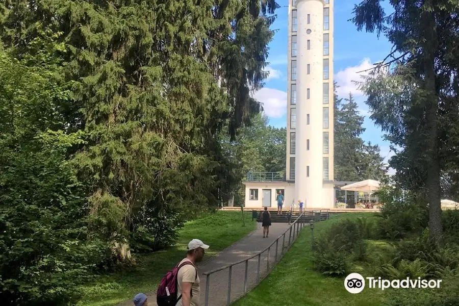 Observation Tower on Suur Munamagi