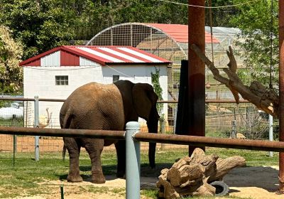 Natural Bridge Zoo