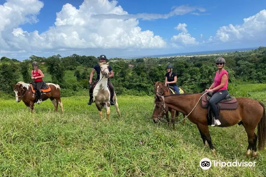 Ranch de Moreau