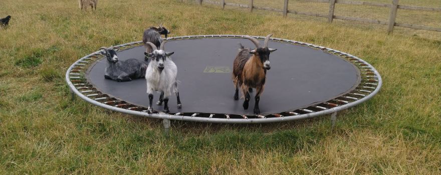 The Wonkey Donkey Visitors Centre