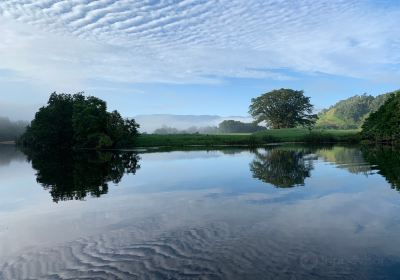 Daintree Boatman Wildlife Cruises