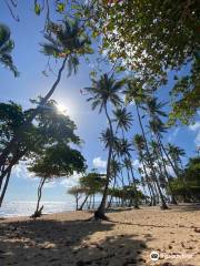 River Flow Cabarete