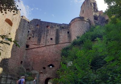 Burgruine Hardenburg