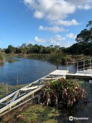 Winding Waters Natural Area