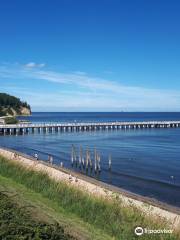 Orłowo Pier