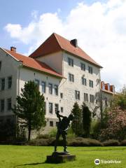 Burg Sehusa, Amtsgericht Seesen