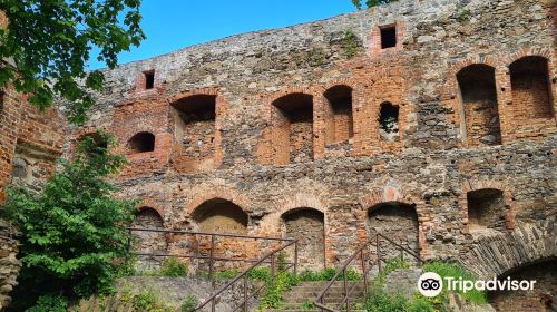 Ruins of Ducal Castle in Zabkowice Slaskie