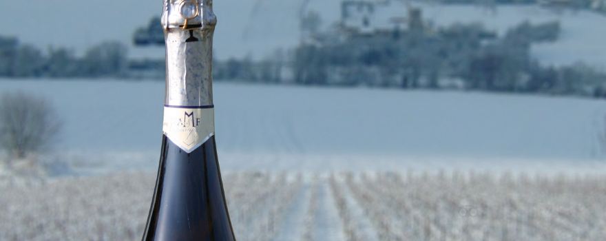 Champagne Alain Mercier et Fils