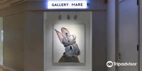 Gallery Mare