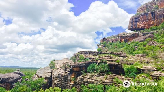 Kakadu