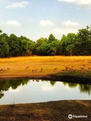 Bandhavgarh National Park