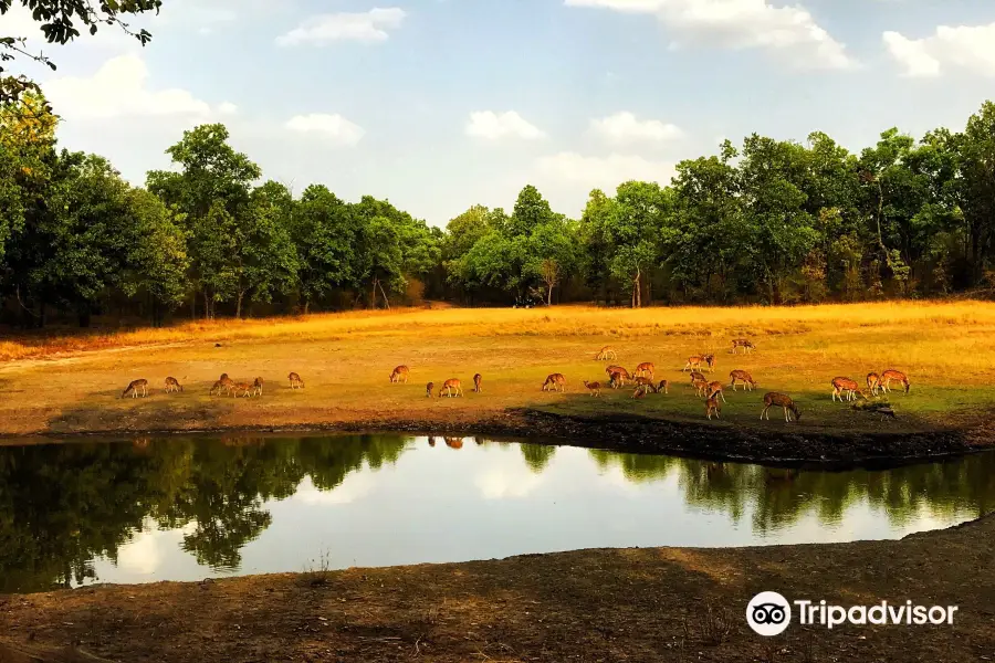 Bandhavgarh National Park