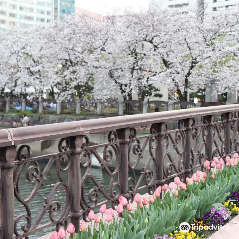 天神中央公園