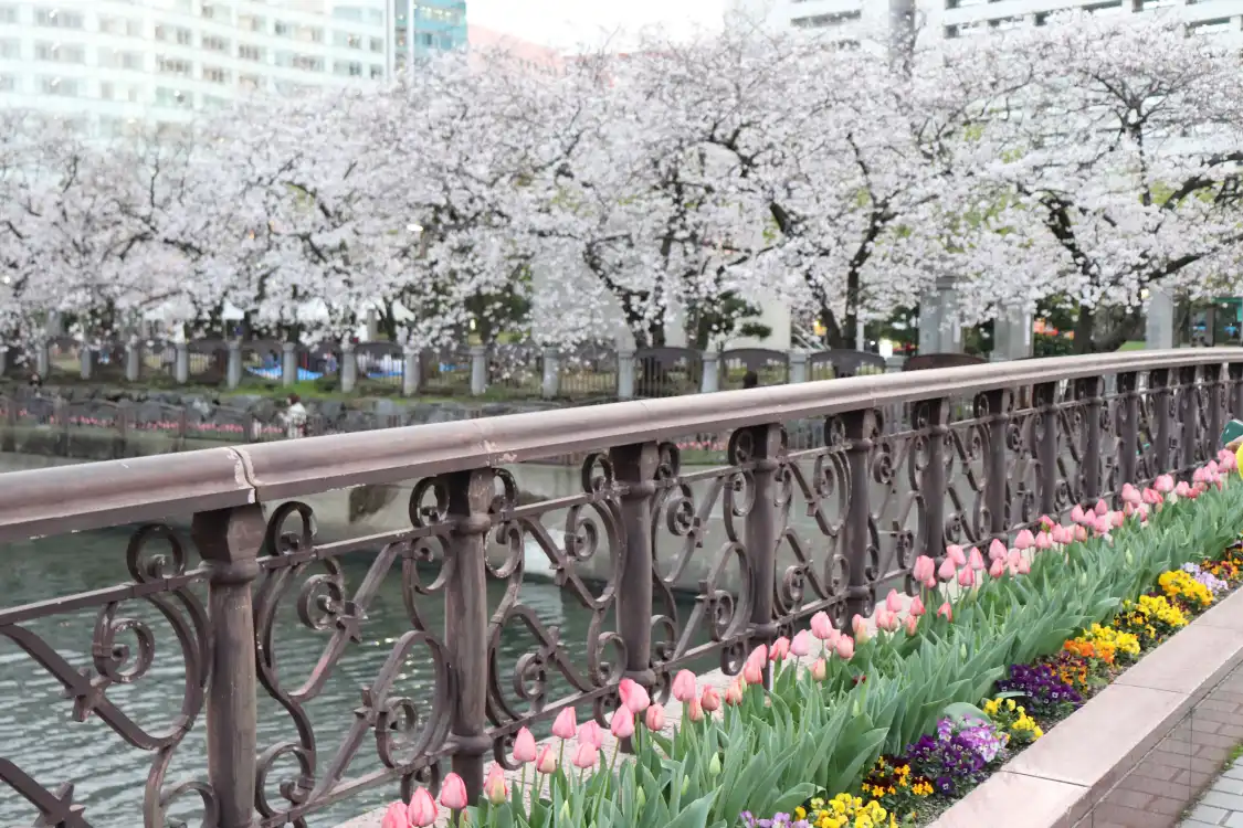 Hotels near Tenjin Central Park