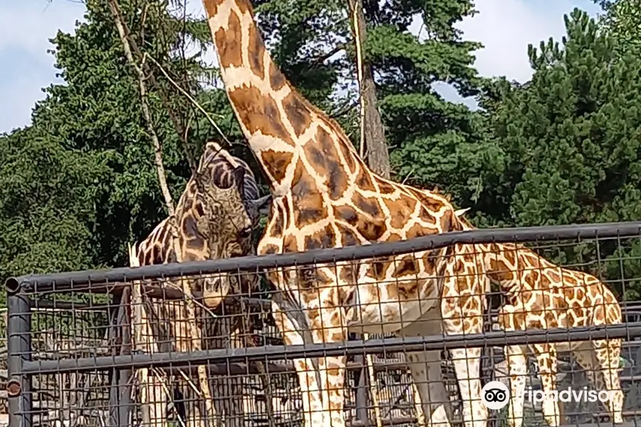 Zoo Olomouc