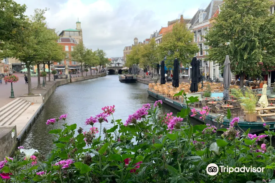 The Leiden Loop - City Walk