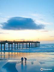 St. Johns County Ocean & Fishing Pier