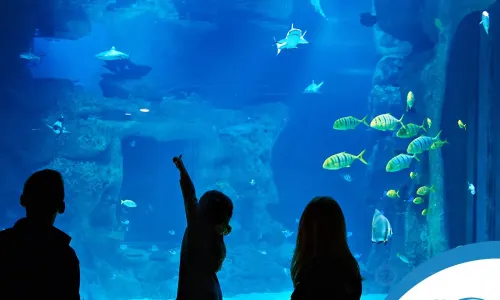 Emaar Akvaryum