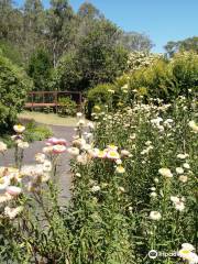 Lismore Rainforest Botanic Gardens