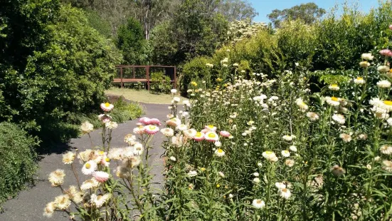 Lismore Rainforest Botanic Gardens