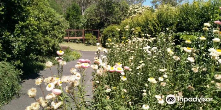 Lismore Rainforest Botanic Gardens