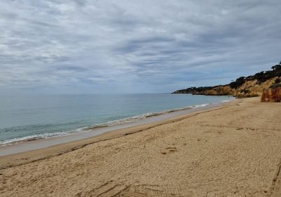 Playa María Luisa