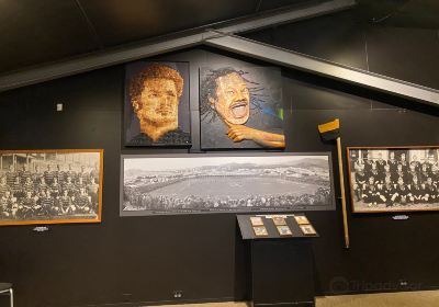 新西蘭橄欖球博物館