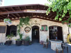 Sterna Winery & Wine Museum-Kathikas,Paphos