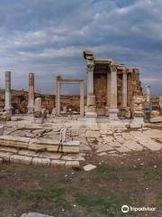 Развалины древнего города "Laodikeia"