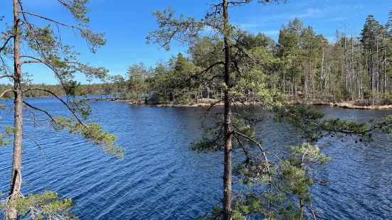 Tyresta Nationalpark