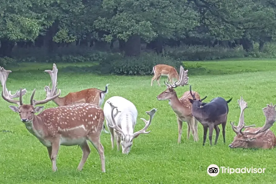 Hannover Tiergarten