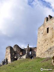 The ruins of the Castle Kamieniec