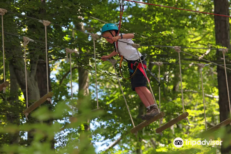 Parc Aventure Vizzavona