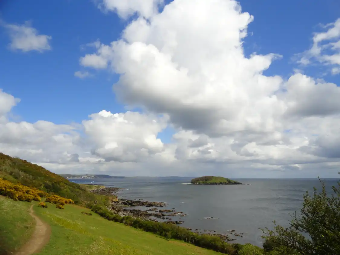 Hotels near Looe Island