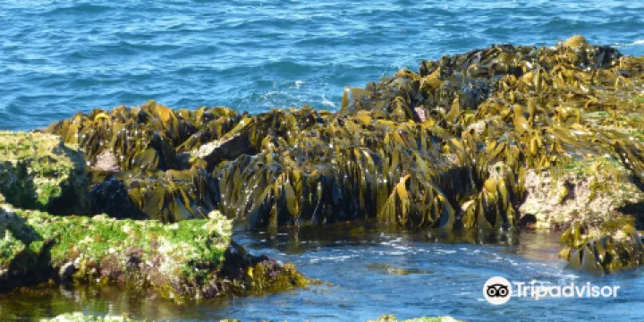 Thunder point Coastal Reserve