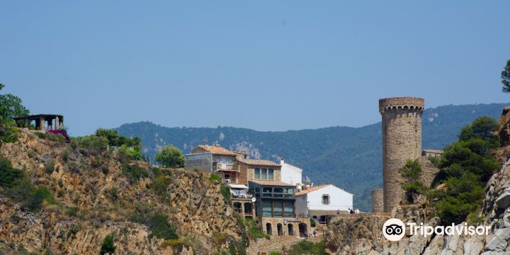 Es Codolar beach
