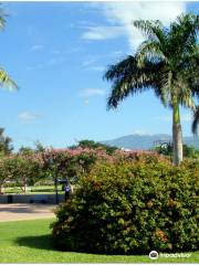 Emancipation Park