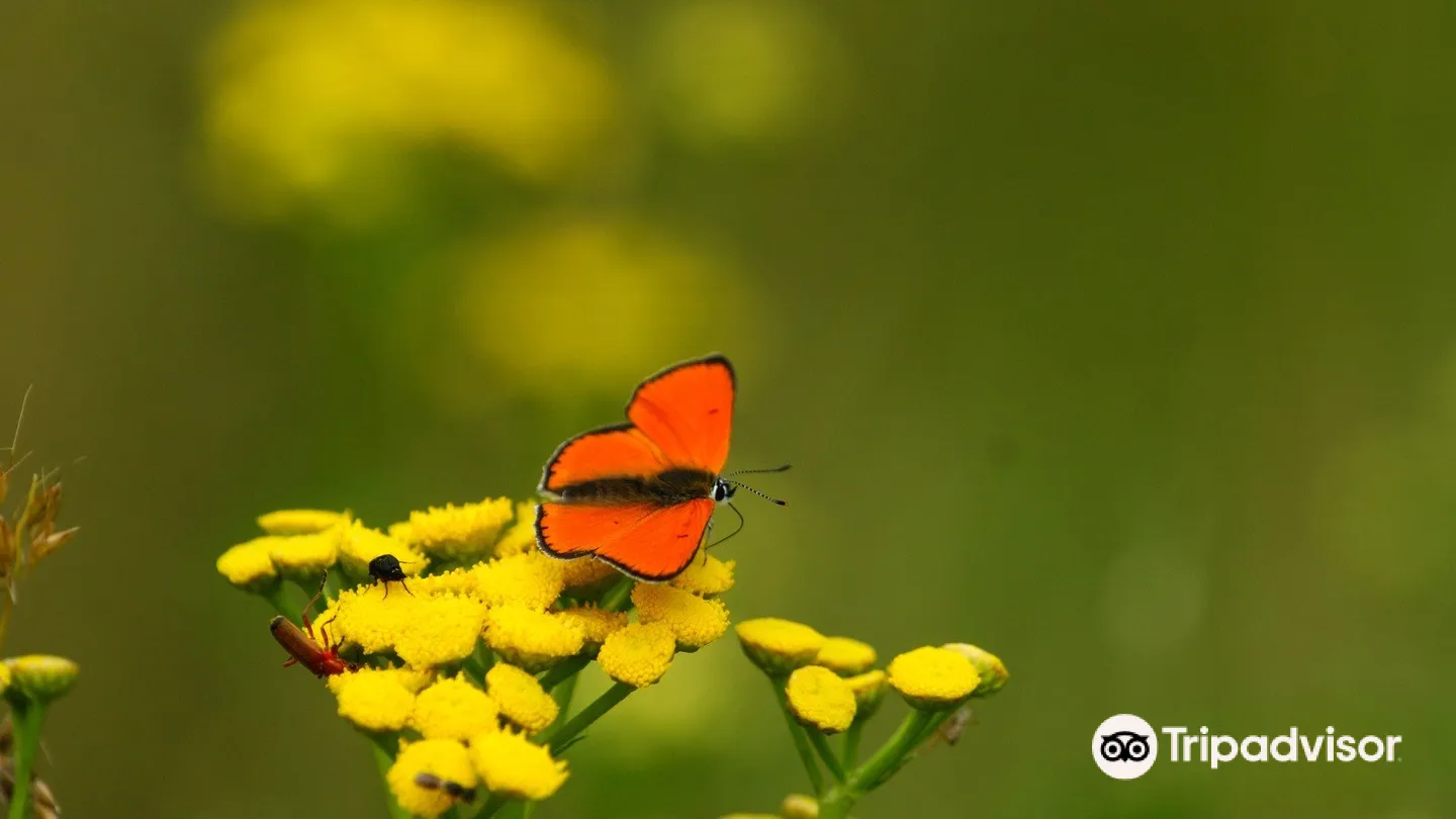 2_Espace Naturel Sensible de la Vauvre