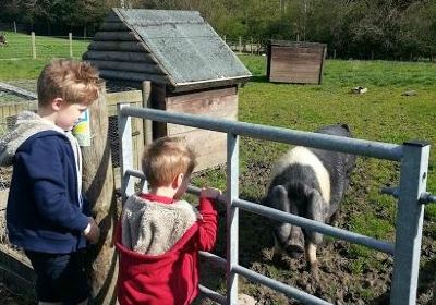 St Leonards Farm Park