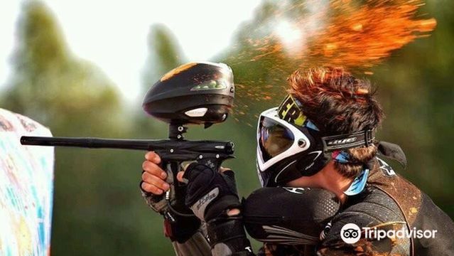 ESCARMOUCHE ACTIVITIES LTD