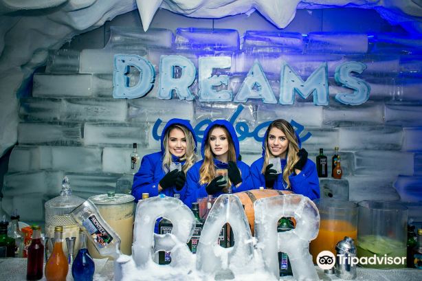 Dreams Park Show