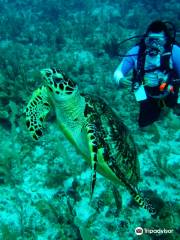 Belize Pro Dive Center