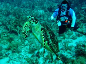 Belize Pro Dive Center