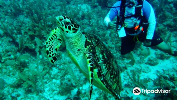 Belize Pro Dive Center