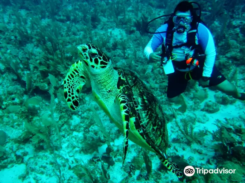 Belize Pro Dive Center