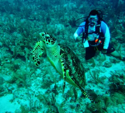 Belize Pro Dive Center
